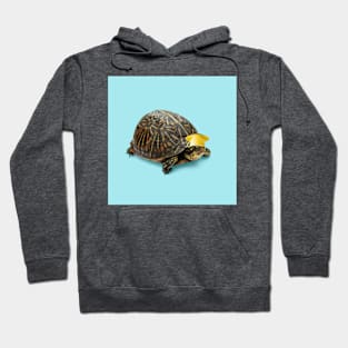 Turtle with nice cup hat Hoodie